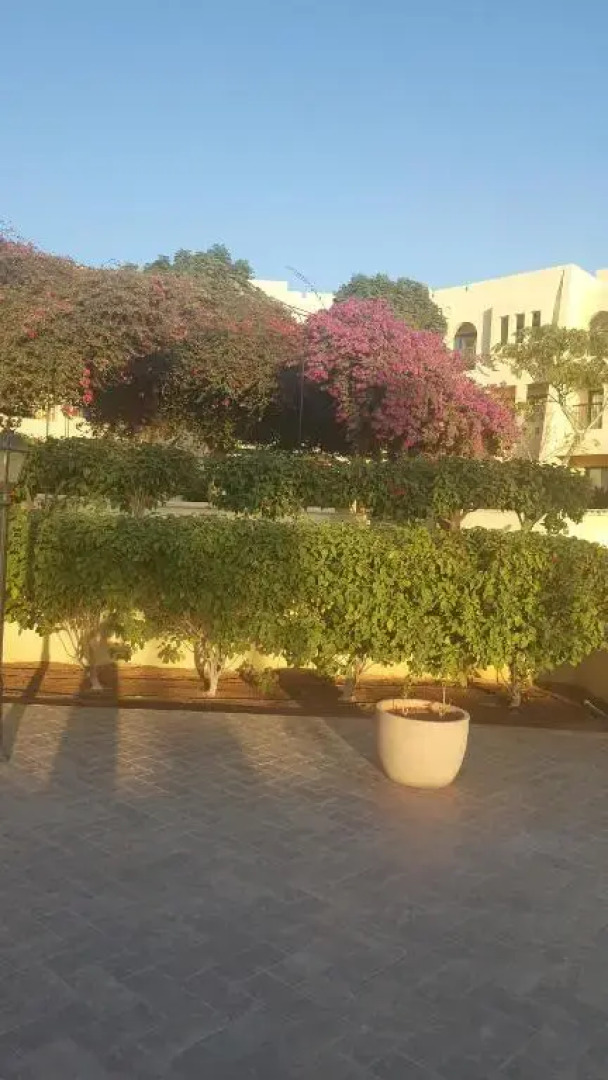 Sea View Apartment at Tala Bay Resort in Aqaba