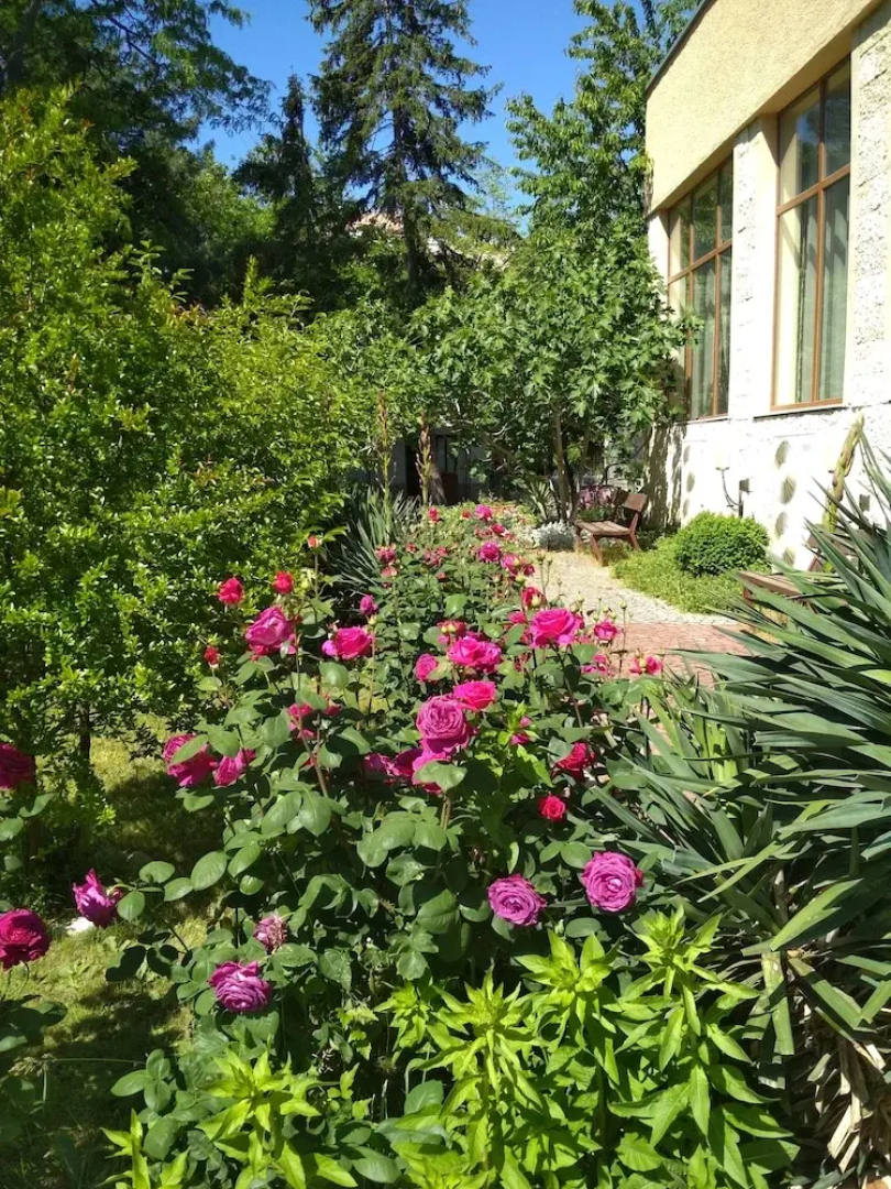 Saint Nikola Holiday Complex