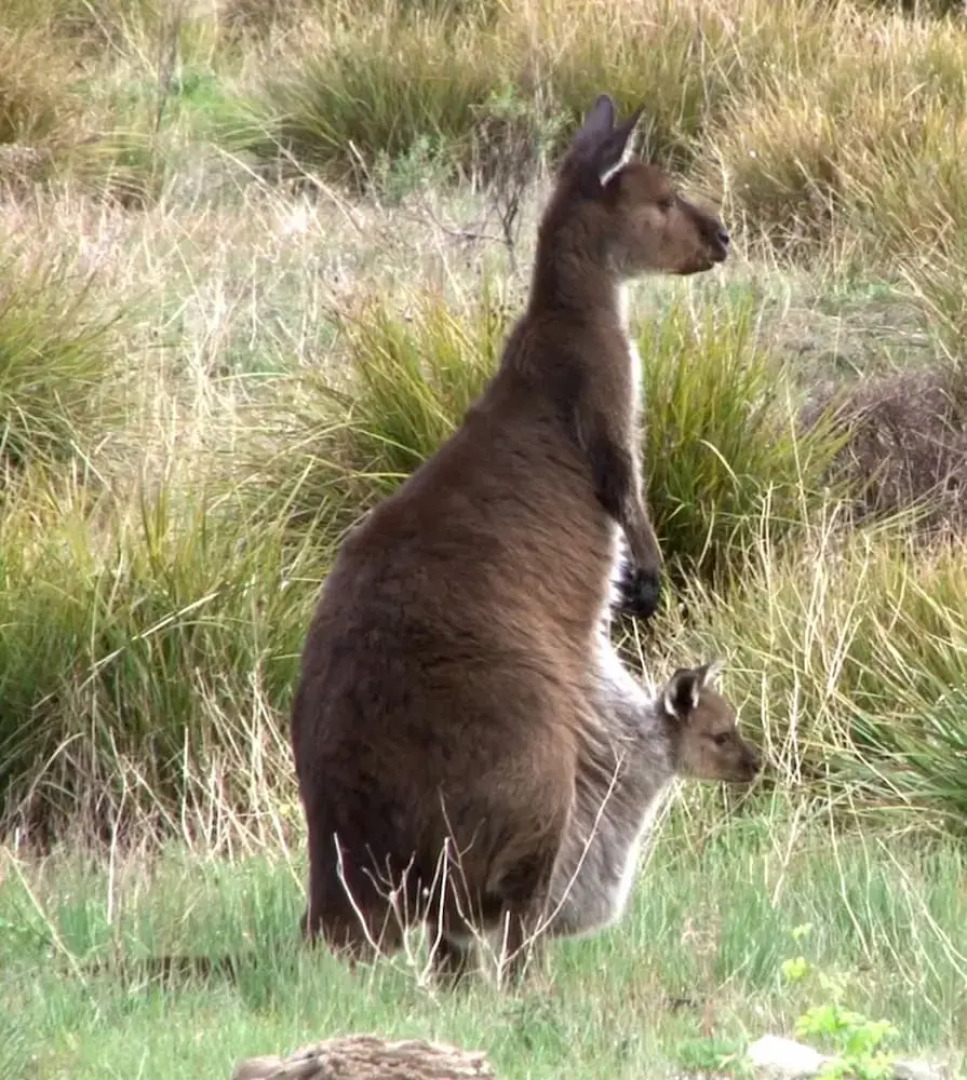 The Open House B&B Accommodation