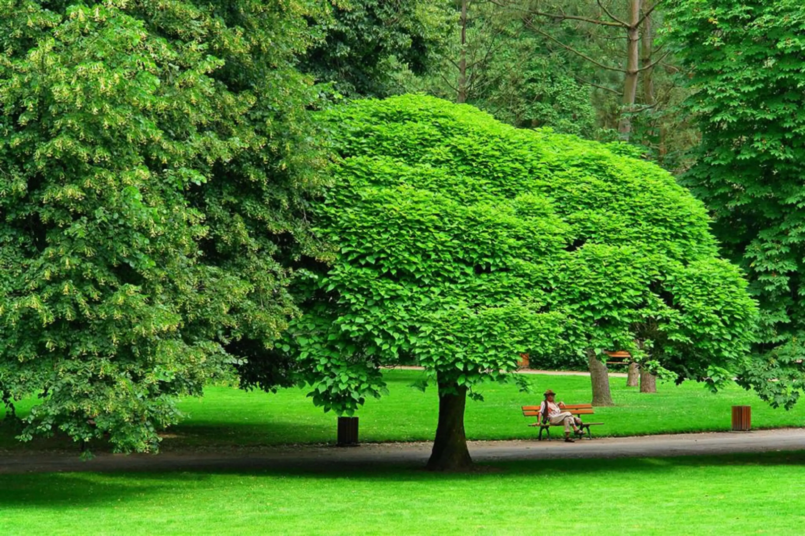 Hotel Kyriad Vichy Spa Cinq Mondes