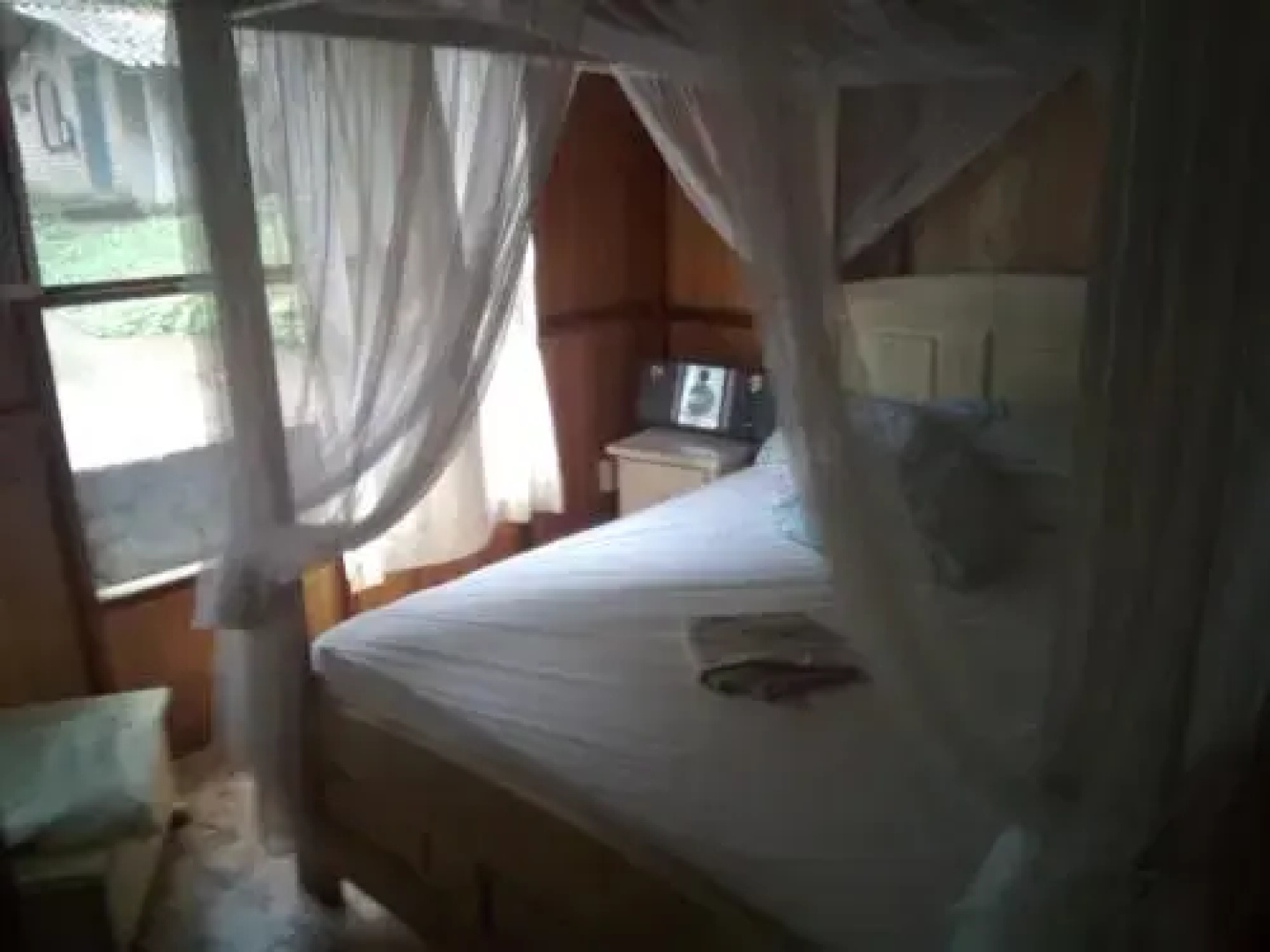 Misahualli Adventure Hostel