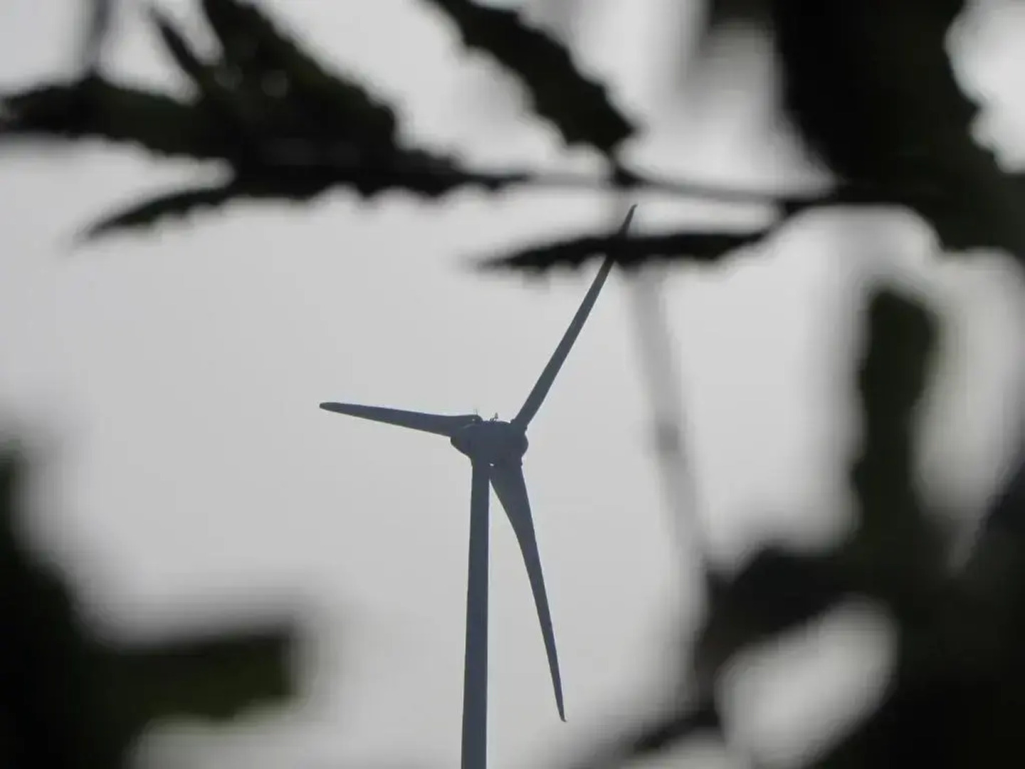 Quinta Sobral Prestige