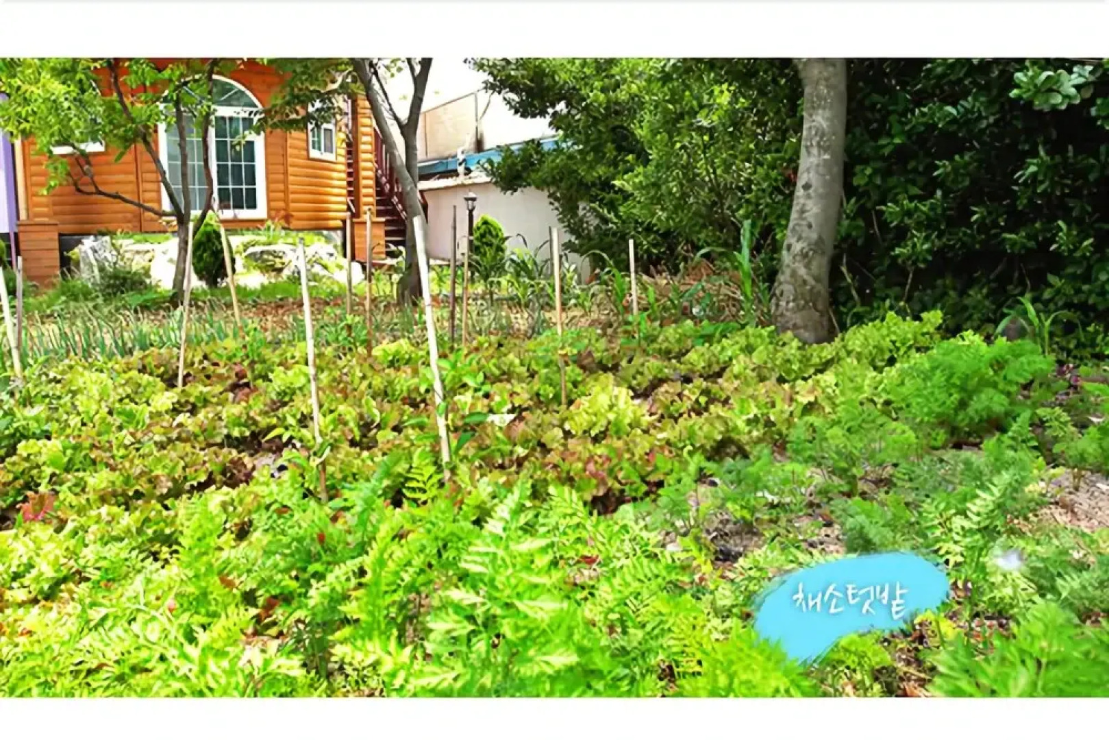 Yeongdeok Sea Pension