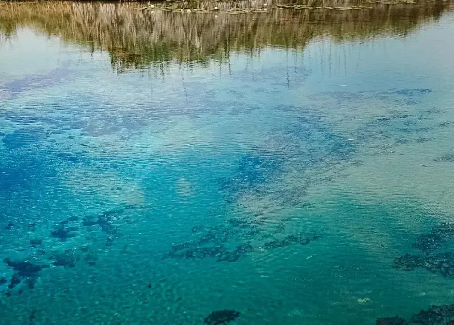 Hacienda Viga 2020 Hotel