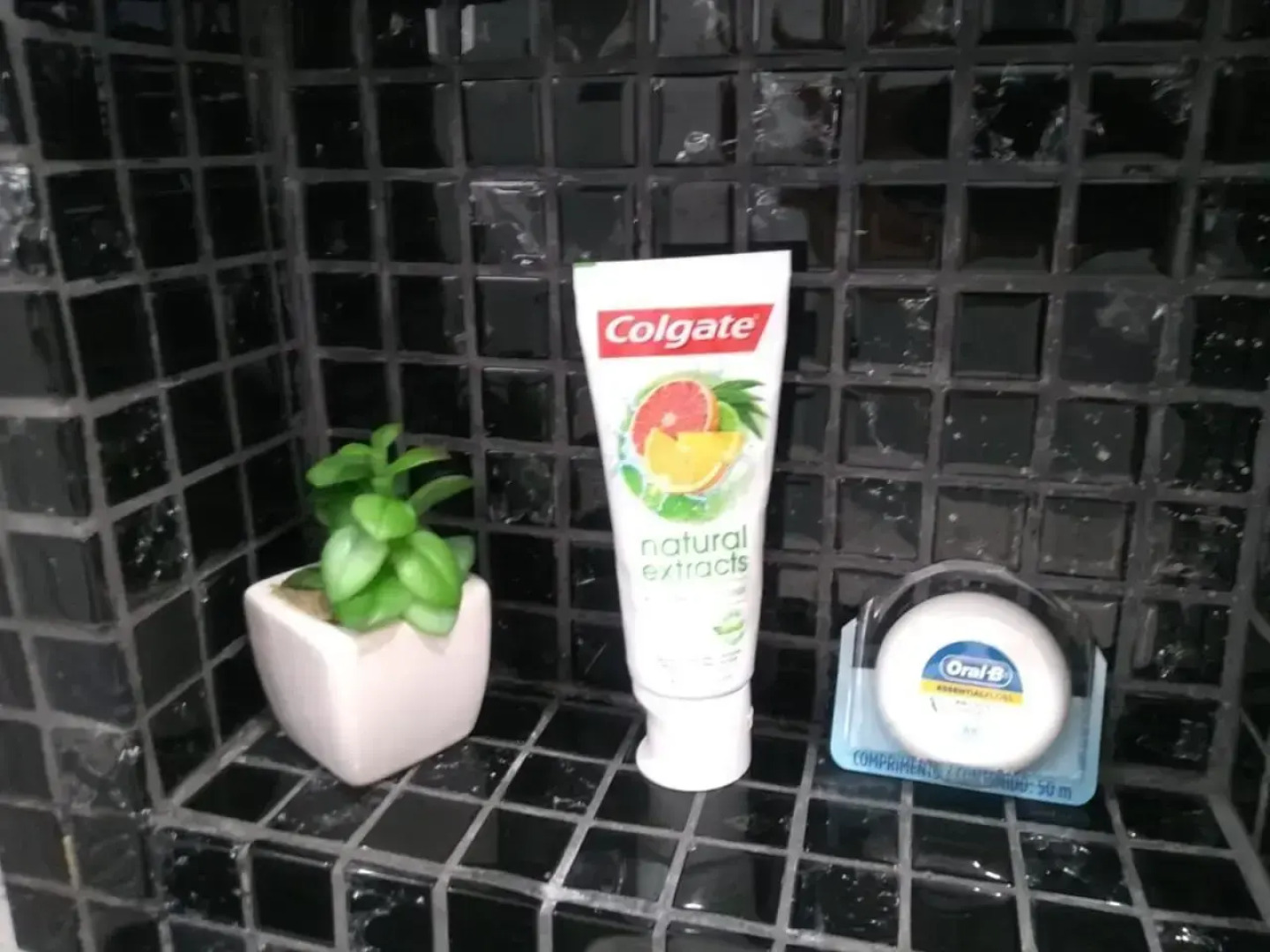 Wi-Fi Gonzaga Vista 60m mar