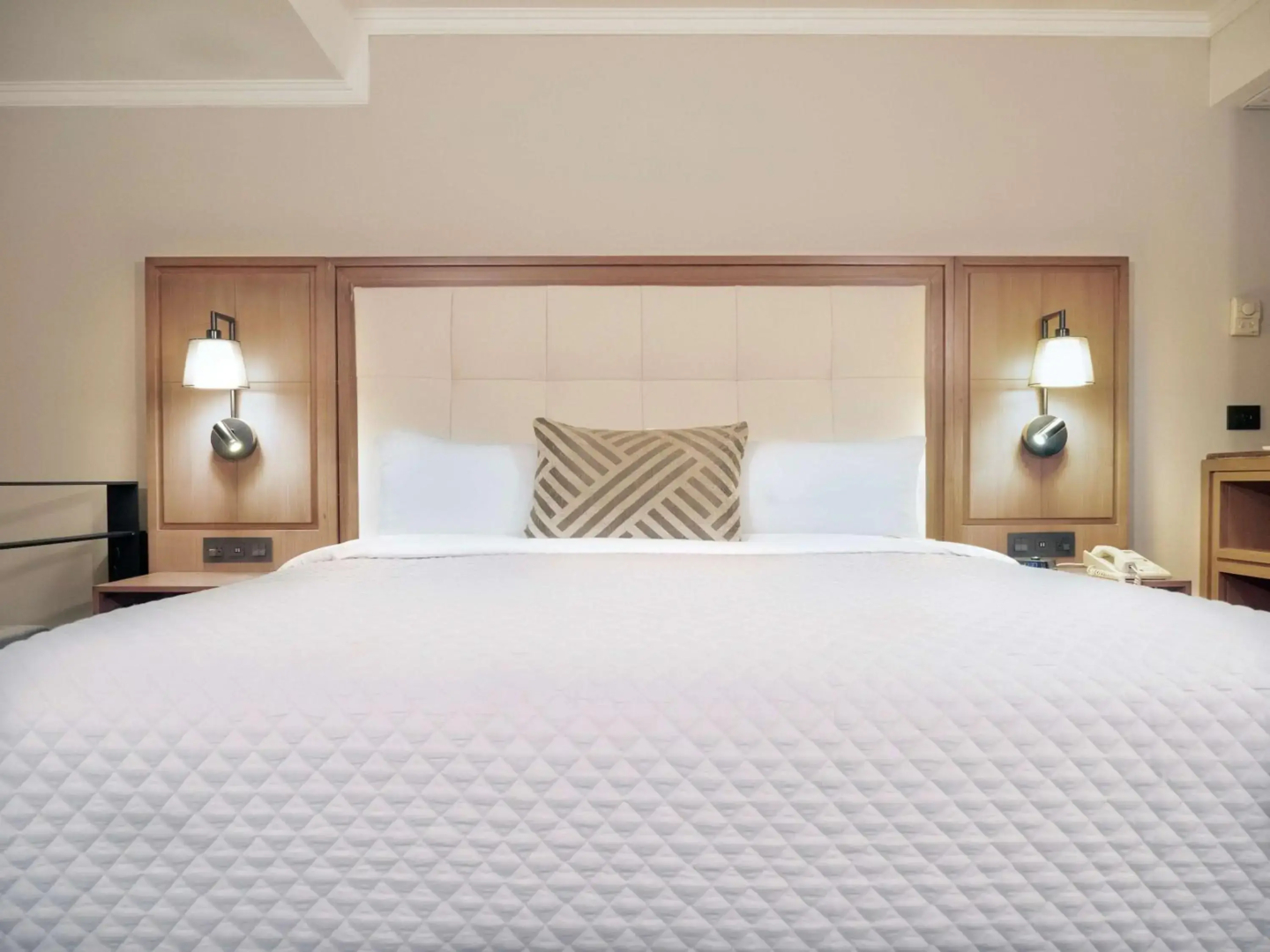 MS Milenium Monterrey, Curio Collection by Hilton