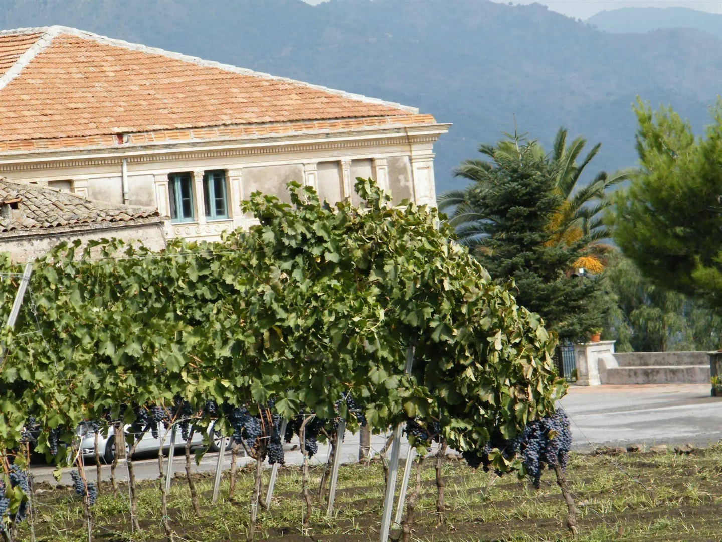Etna Wine Azienda Agrituristica