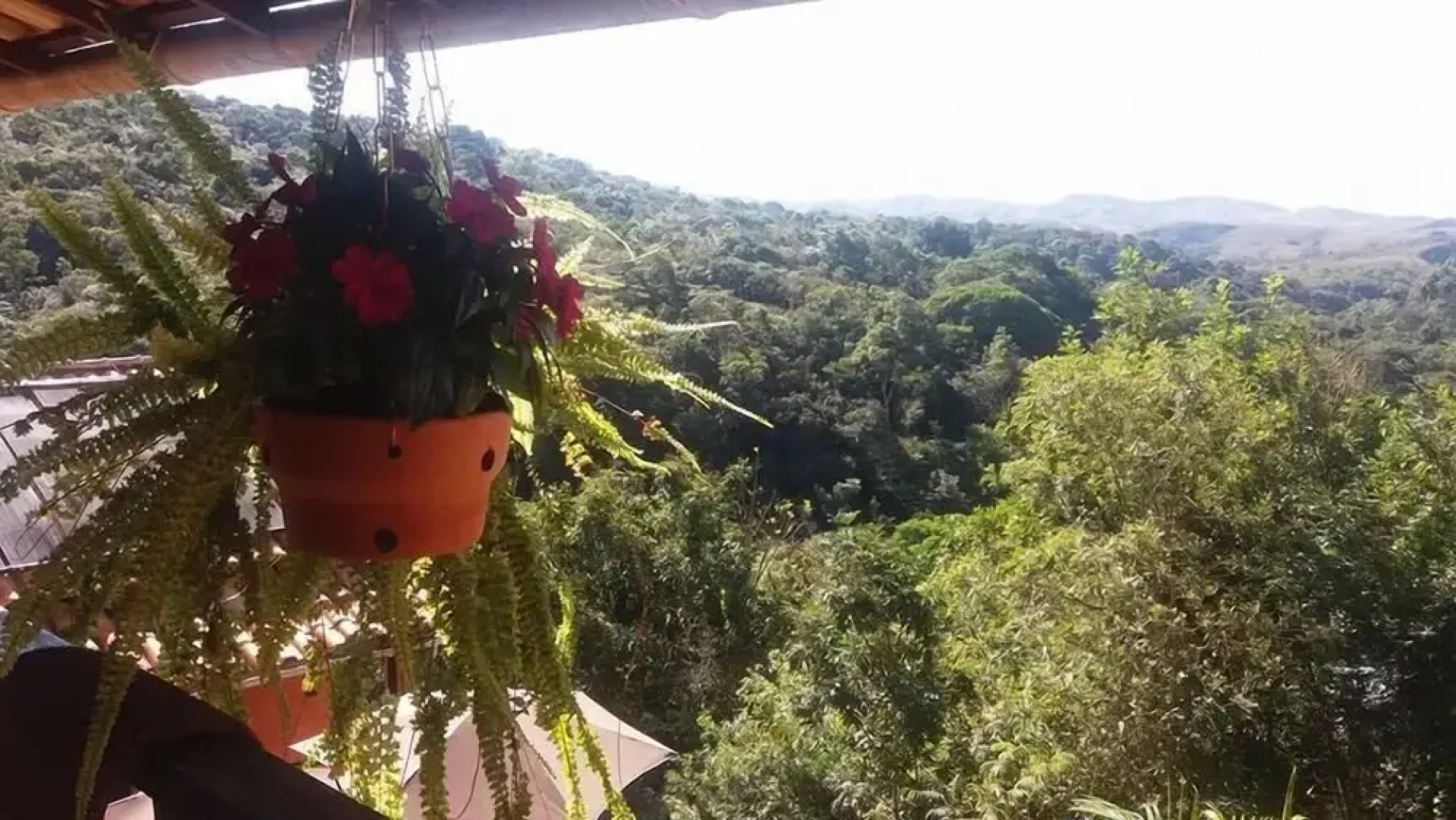 Pousada Macaco Prosa