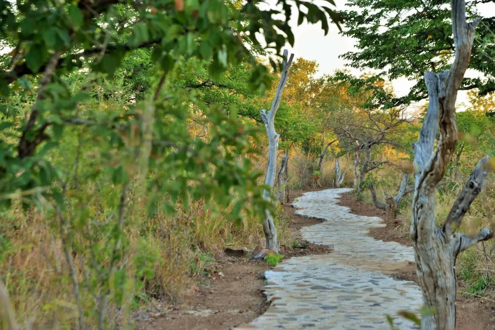 Wildtrack Safaris Eco Lodge