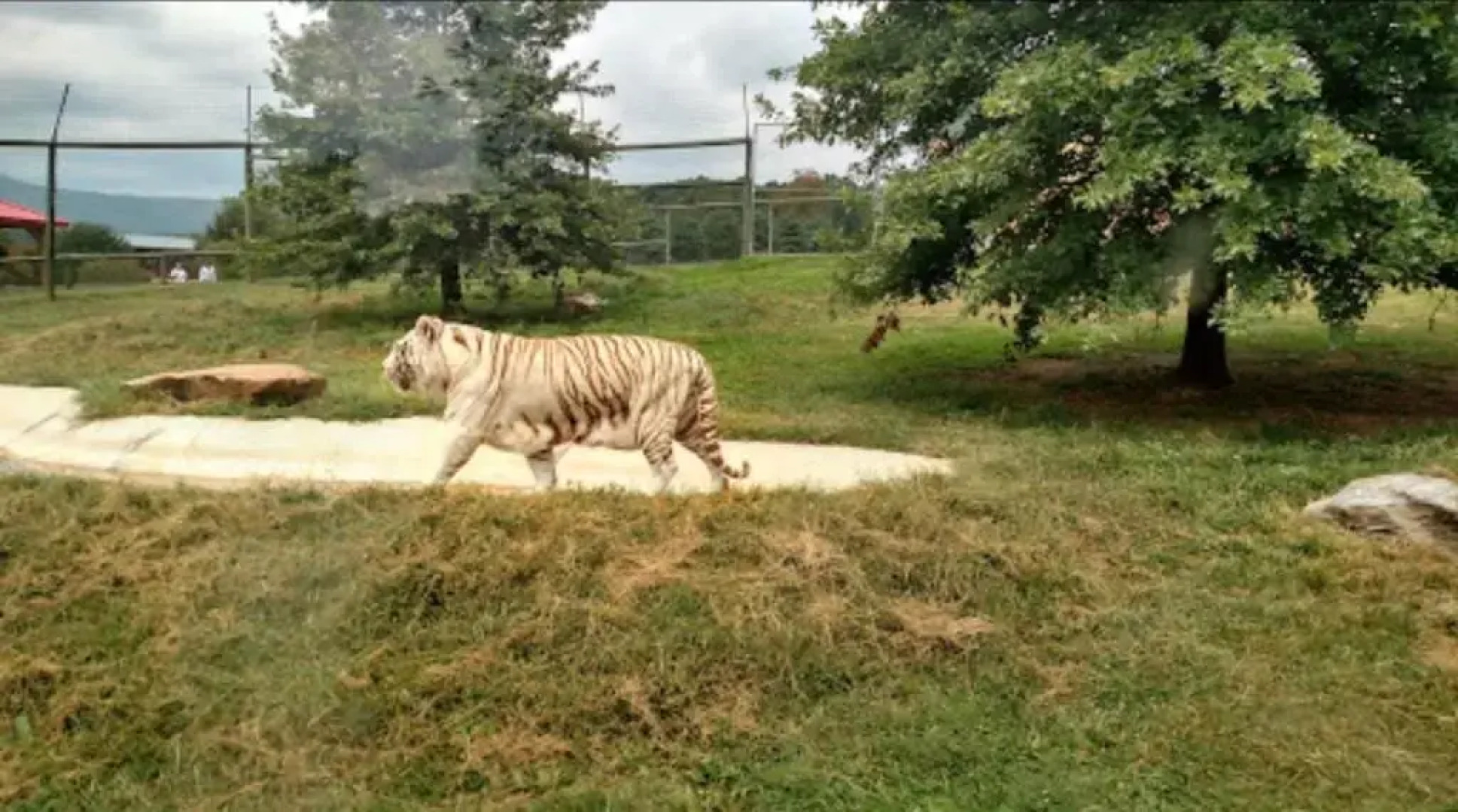 Relax Inn By OYO Natural Bridge I-81