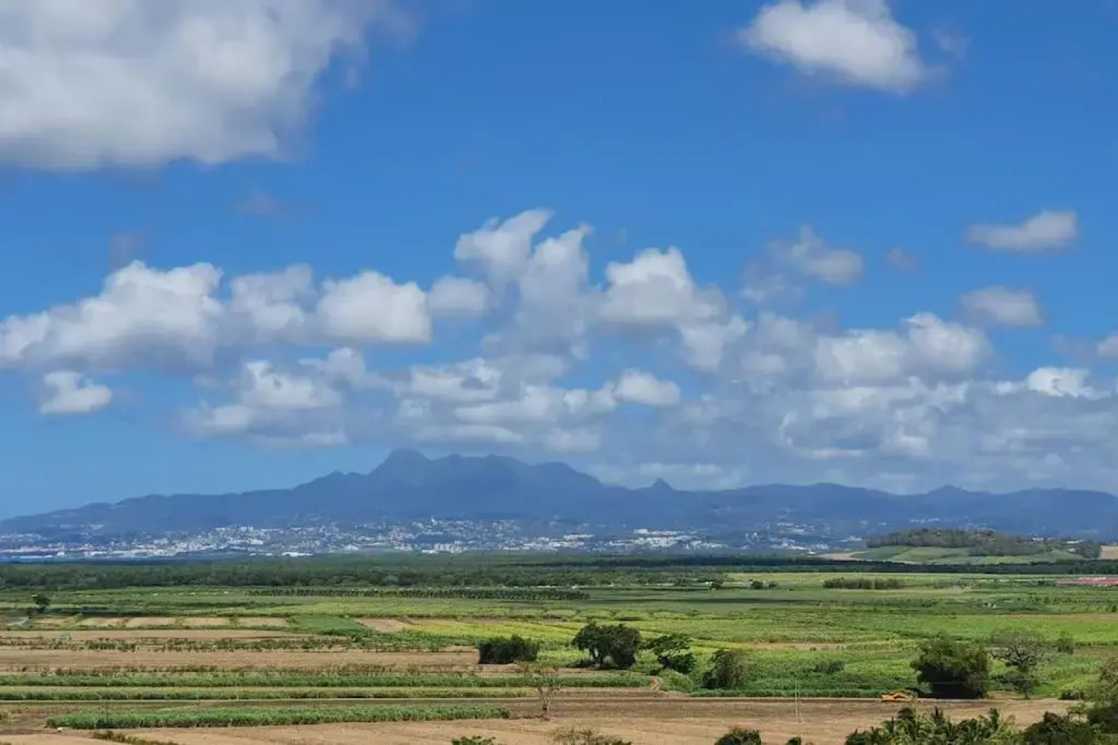 972D4 - Les 2 Palmiers - Bas de villa 60m2 jardin 2000m2