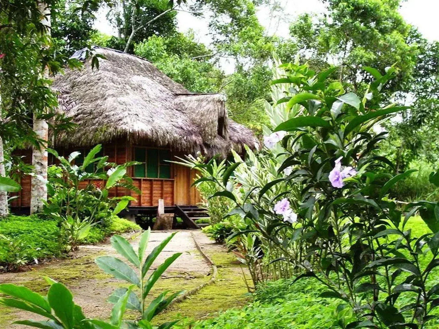 Suchipakari Jungle Lodge