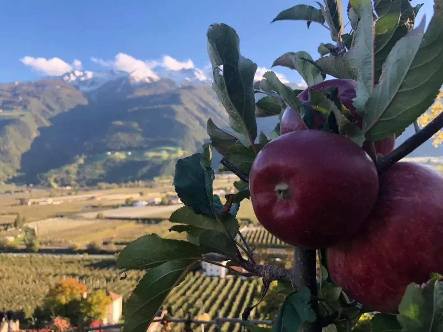 Haus Talblick "Wallbug" Ferienwohnung 1