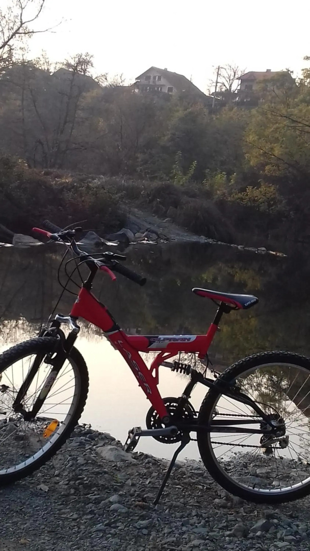 Studio apartman Trdina