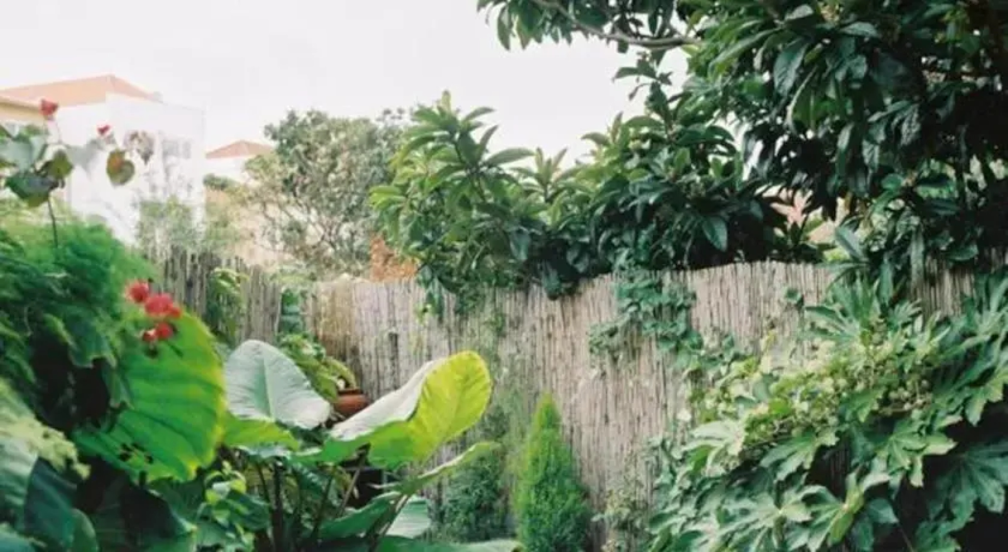 Apartment with Small Garden