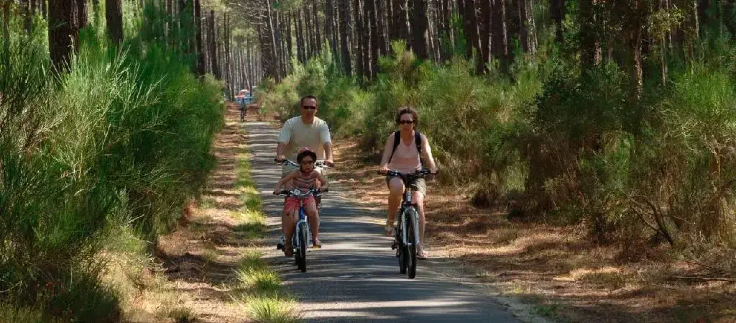 Le Cocon Landais - 3 chambres - WIFI - SOUSTONS