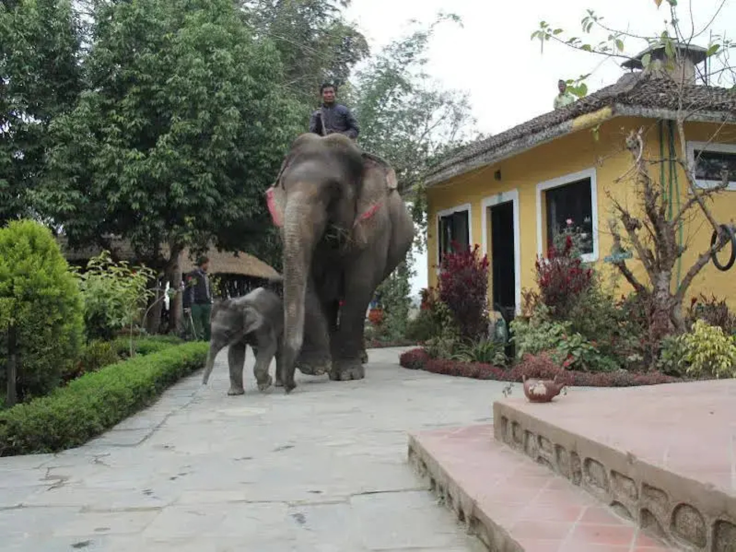 Hotel Sapana Village Lodge Chitwan