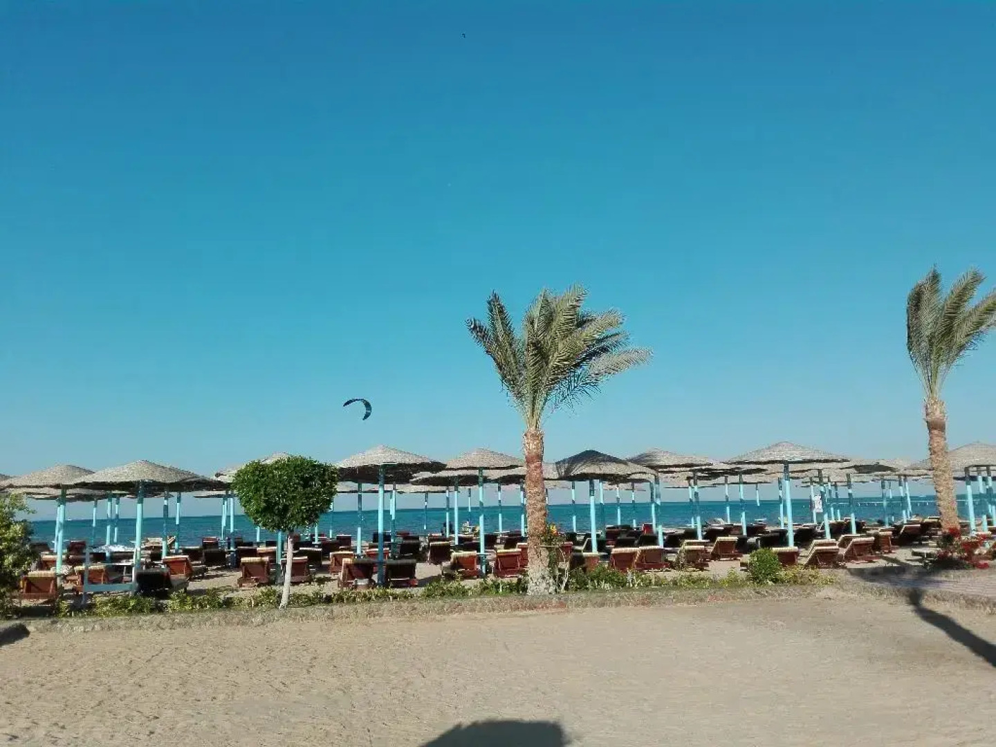 Hawaii Caesar palace Hotel & Aqua Park