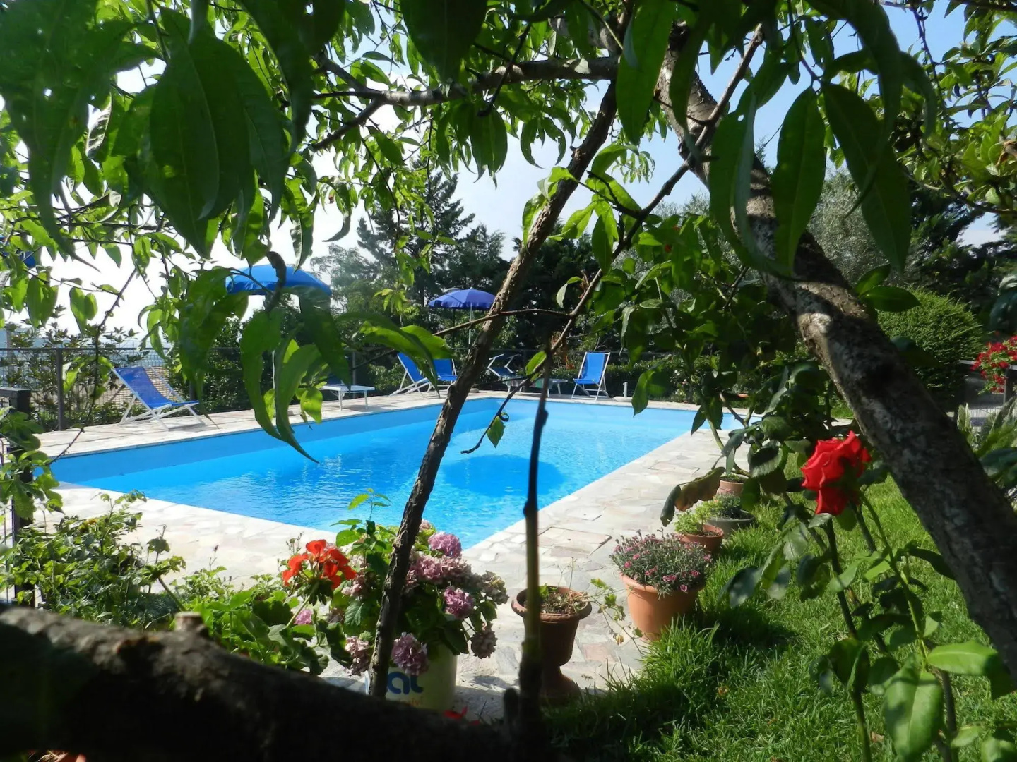 Bb La Mortella With Pool