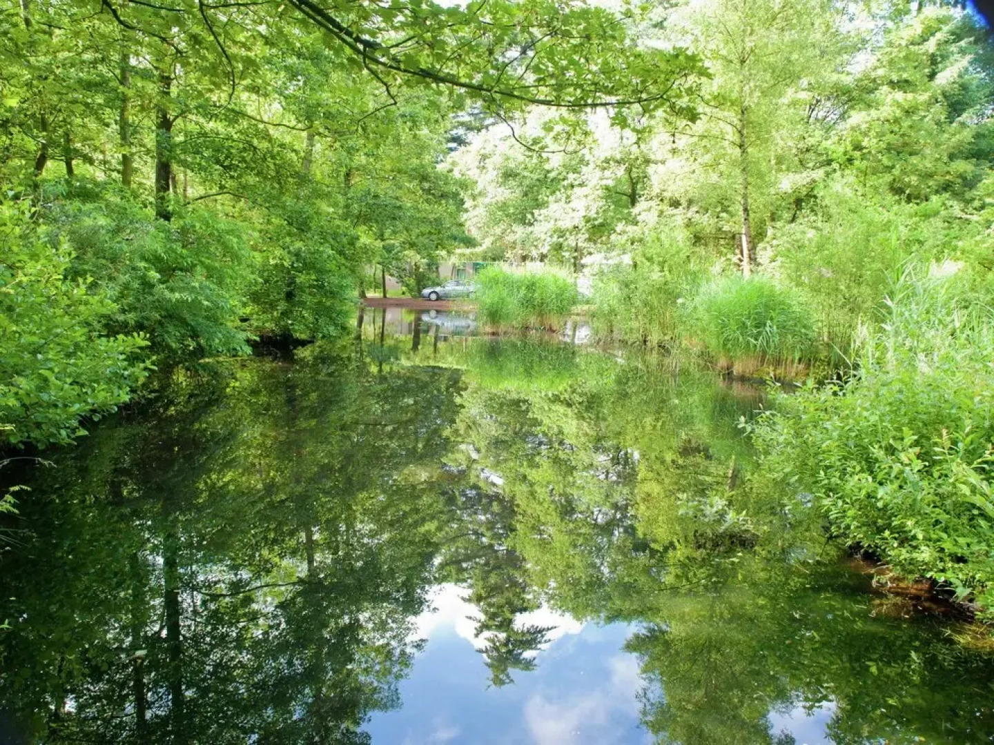 Ground Floor Bungalow With Microwave Near the Kootwijkerzand