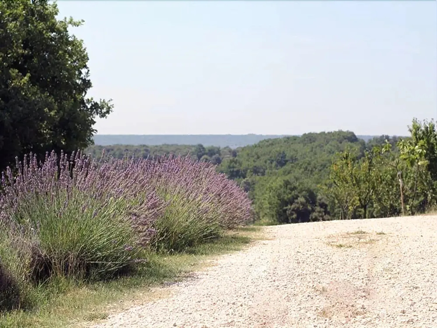 Mas de Pantaï - Cottage La Fourche