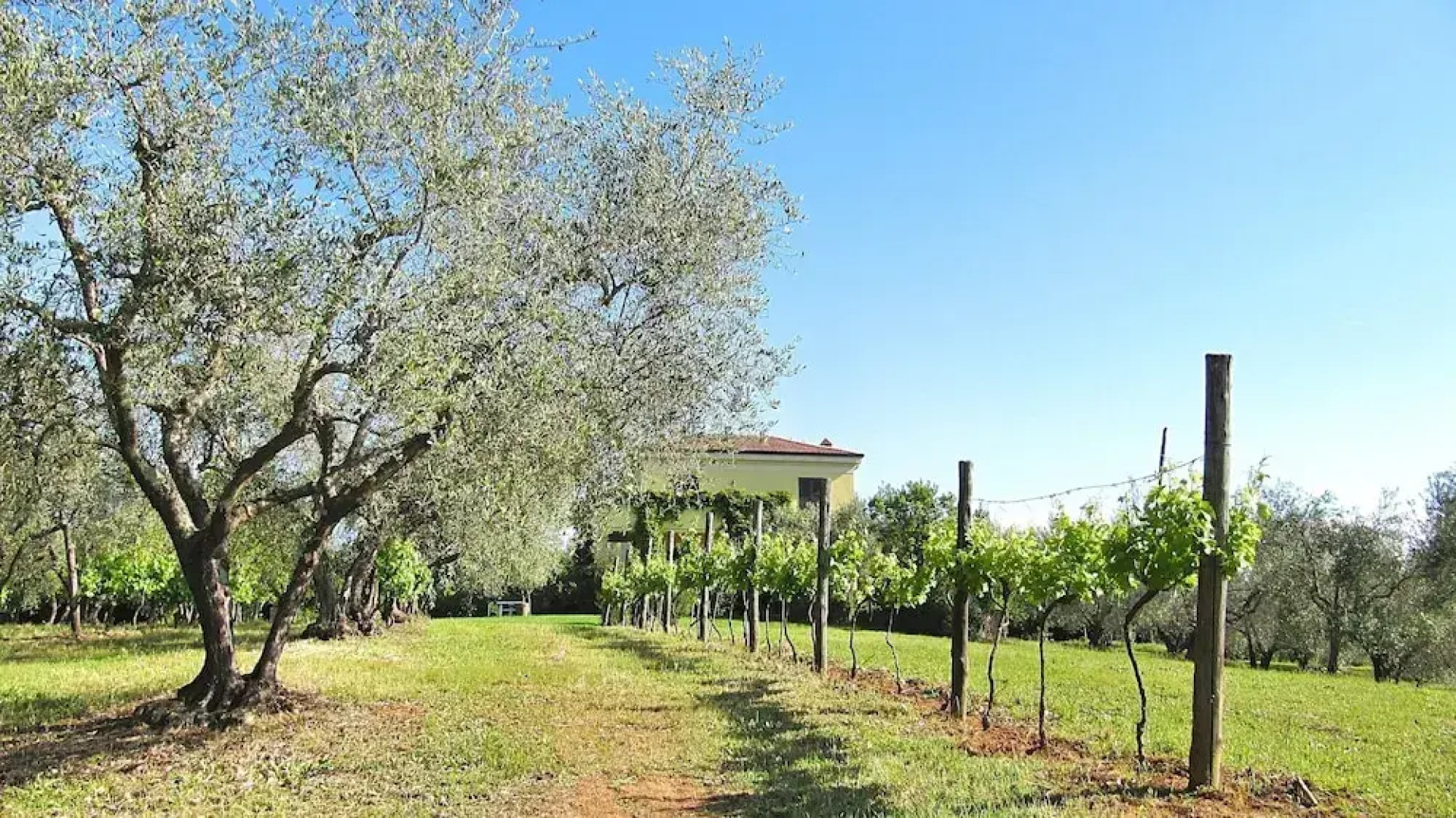 Villa Montecasciano - 8 Sleeps Private Garden