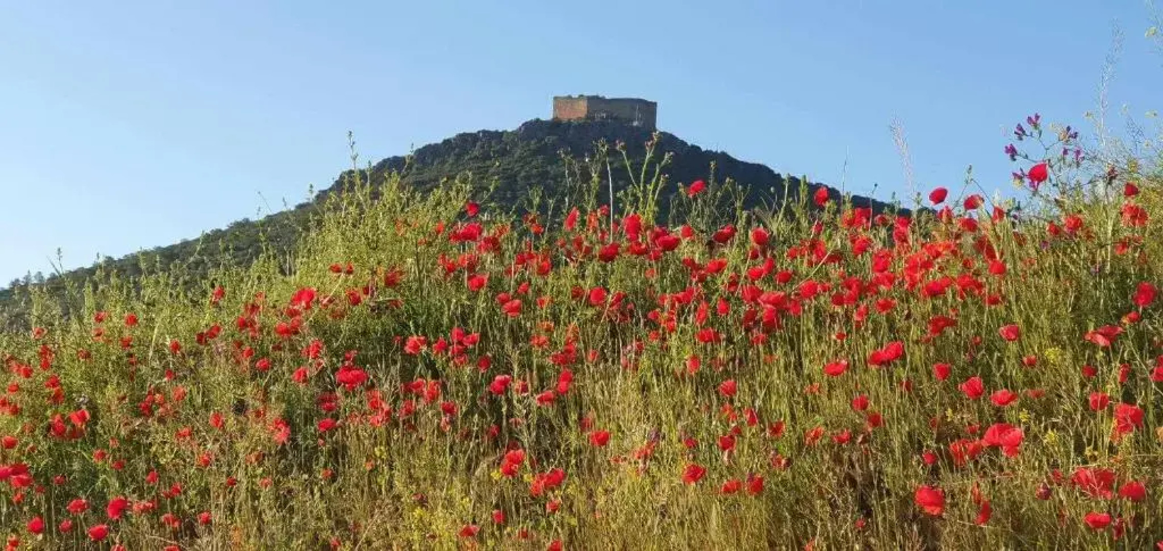Casa Rural La Huerta De Los Nogales