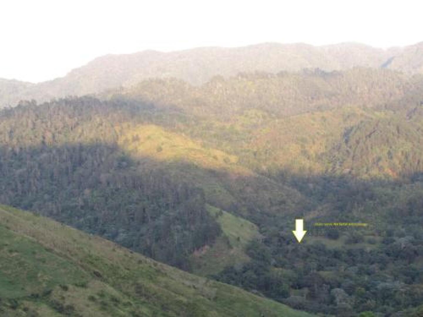 Ebano Verde Waterfall and Ecolodge