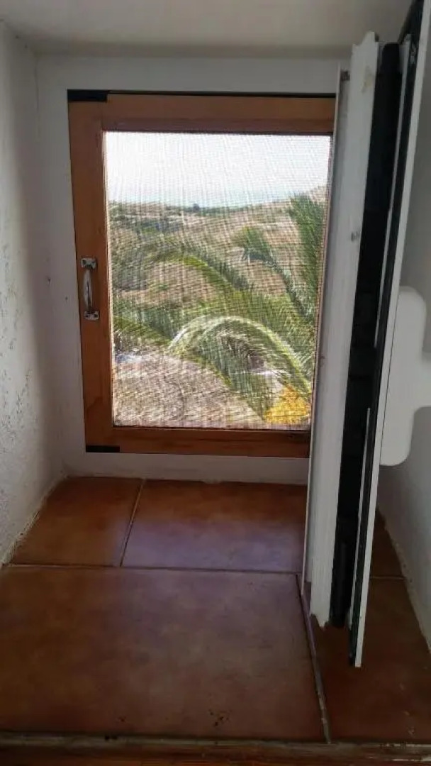 The large bougainvillea house