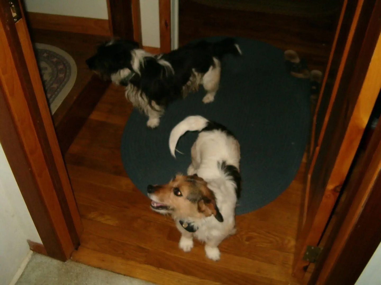 The Ebenezer House Bed & Breakfast