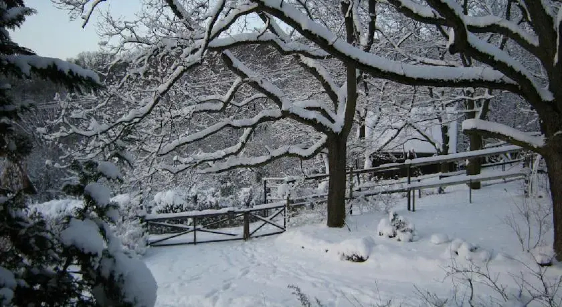 Királykúti Lovasporta