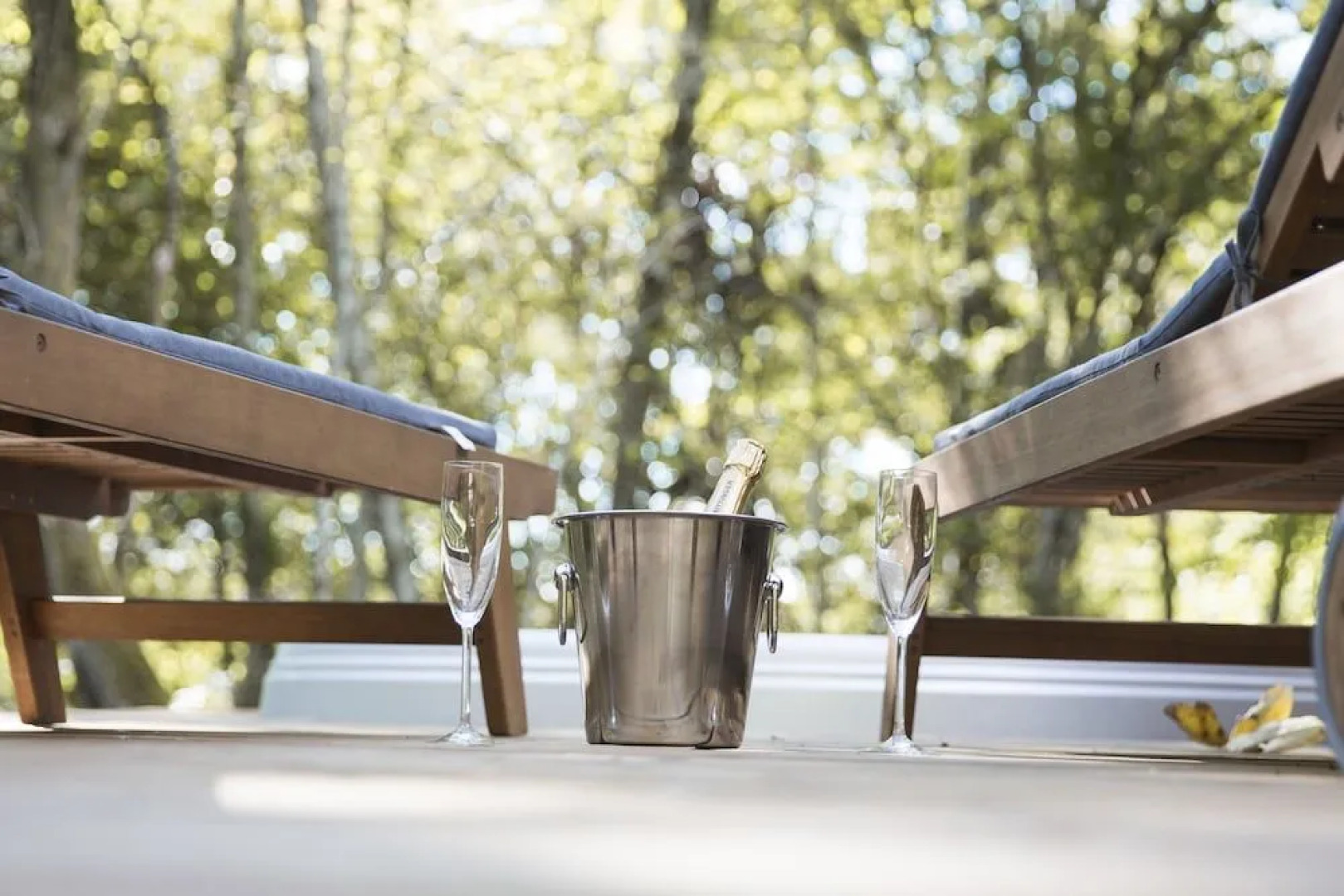 Chrysalide Saint Martin