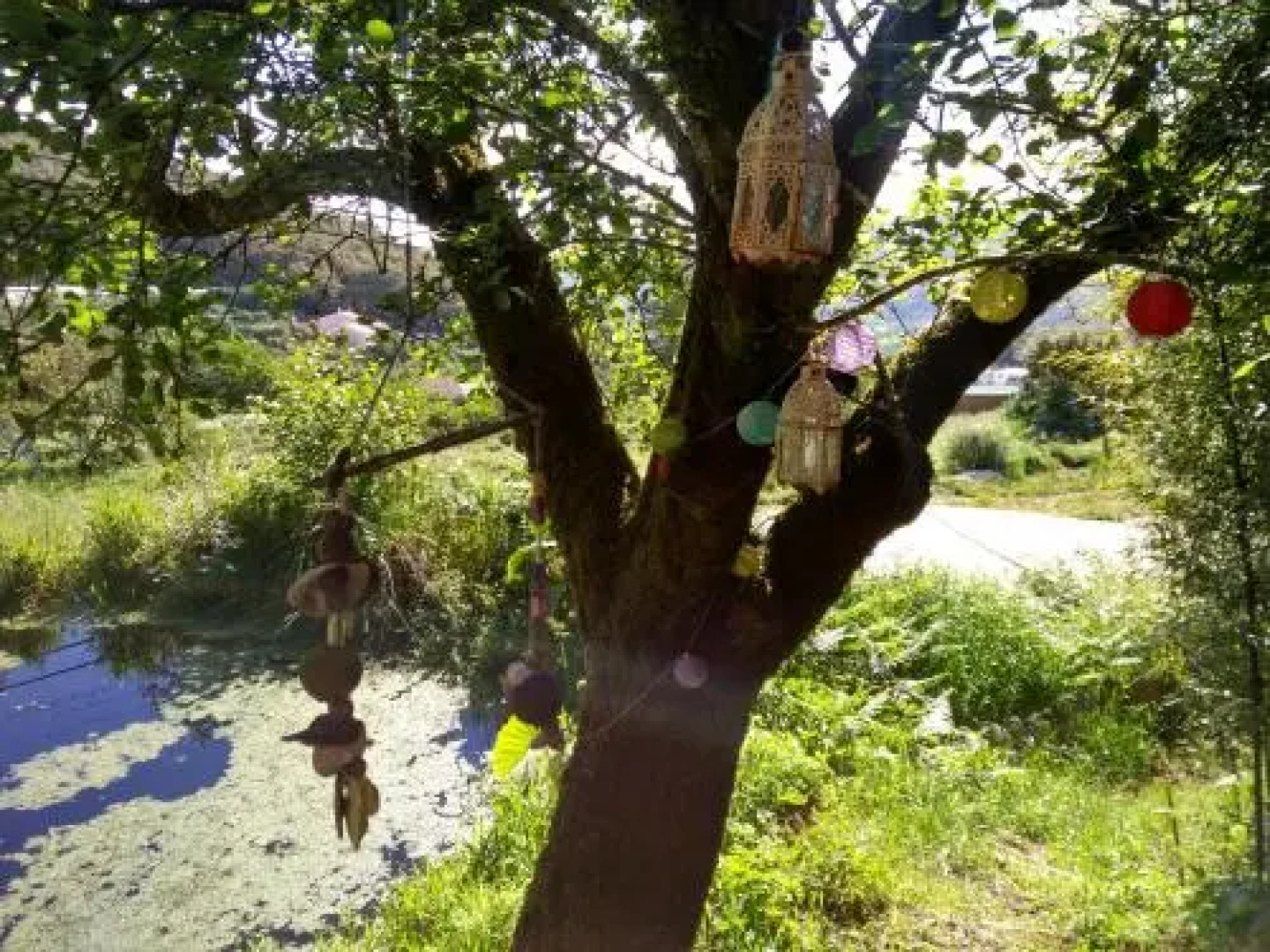 Quinta Algarve Das Relvinhas