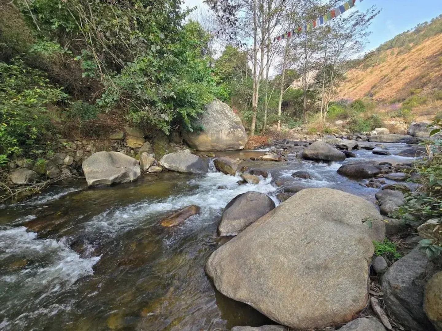 Punakha Stream Resort