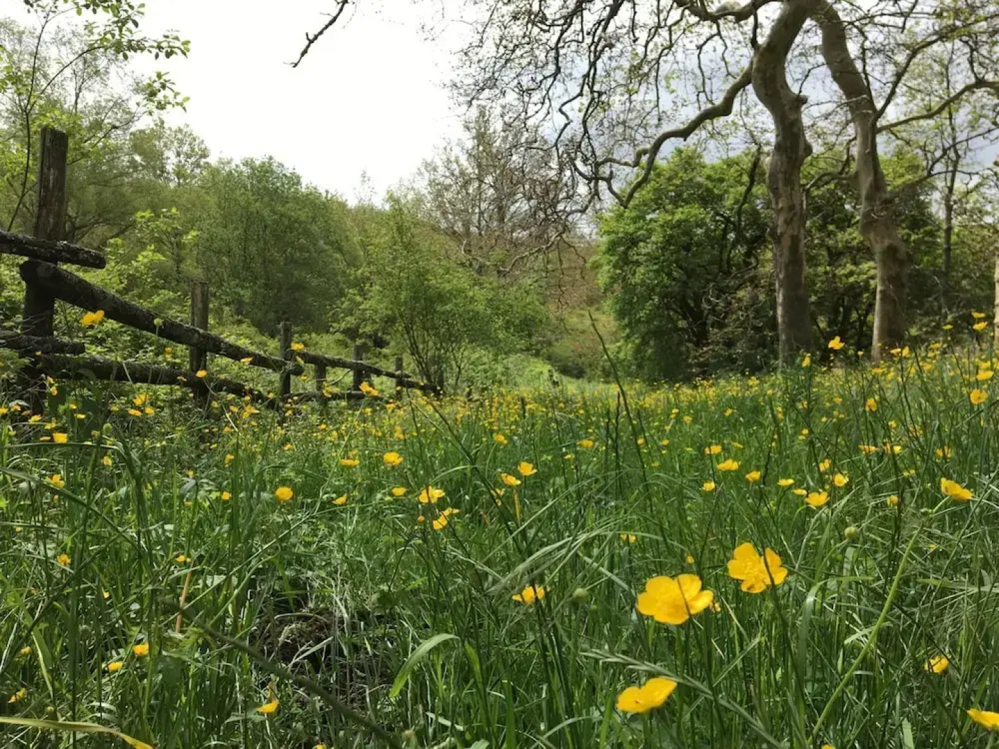 Agriturismo La Casina della Burraia