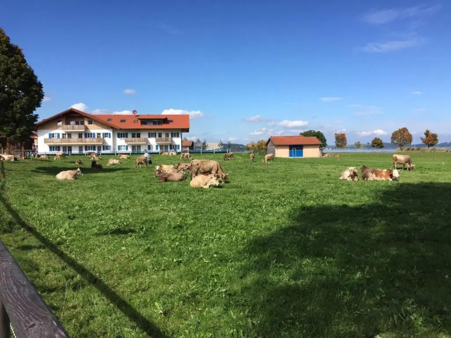 Alpenglück de Luxe Ferienwohnung am Forggensee