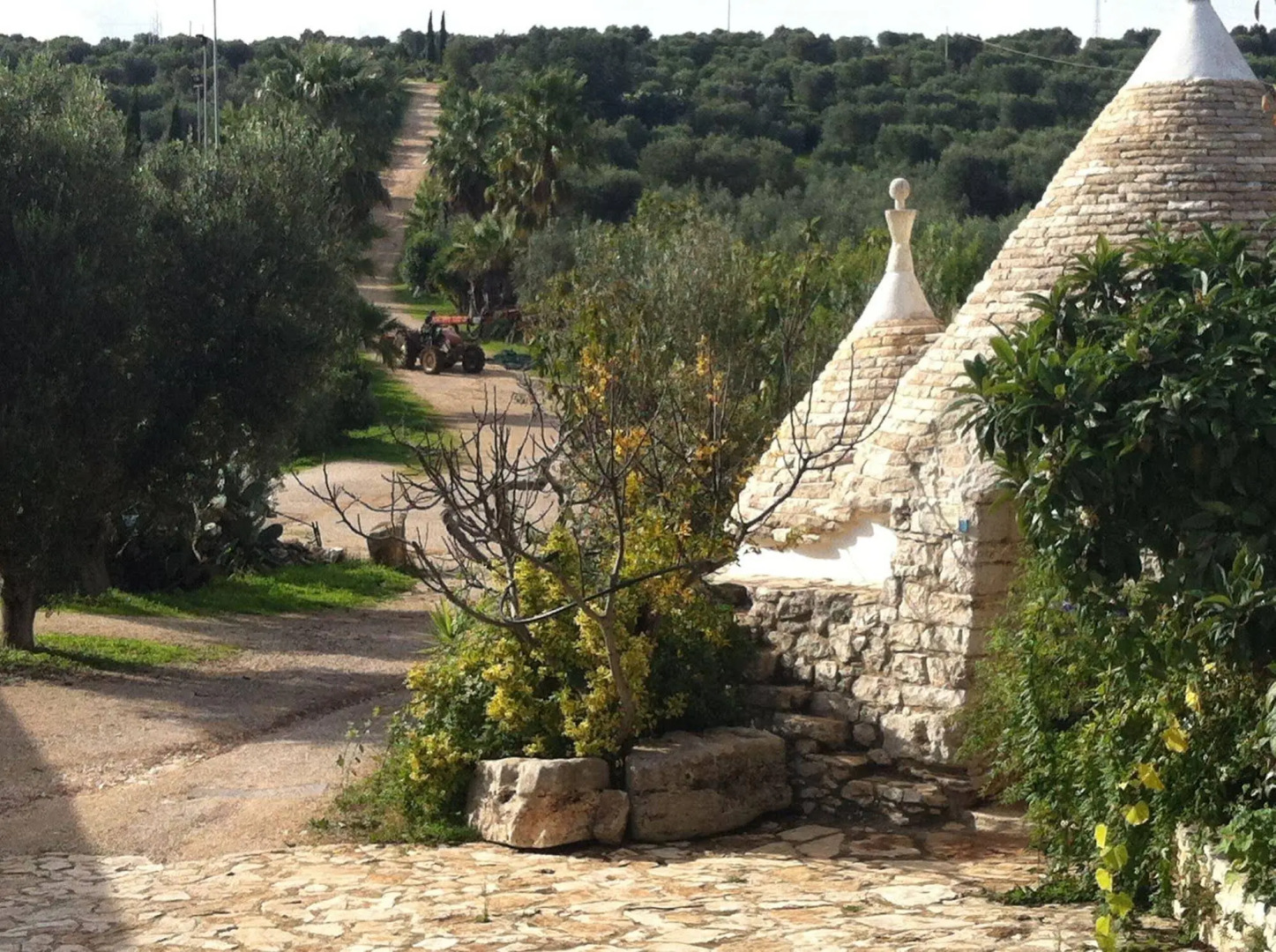 Bioagriturismo Masseria Sciaiani Piccola