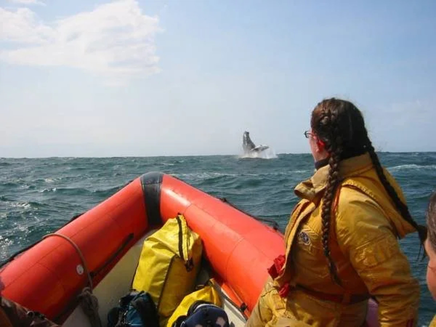 Hotel - Motel Georges