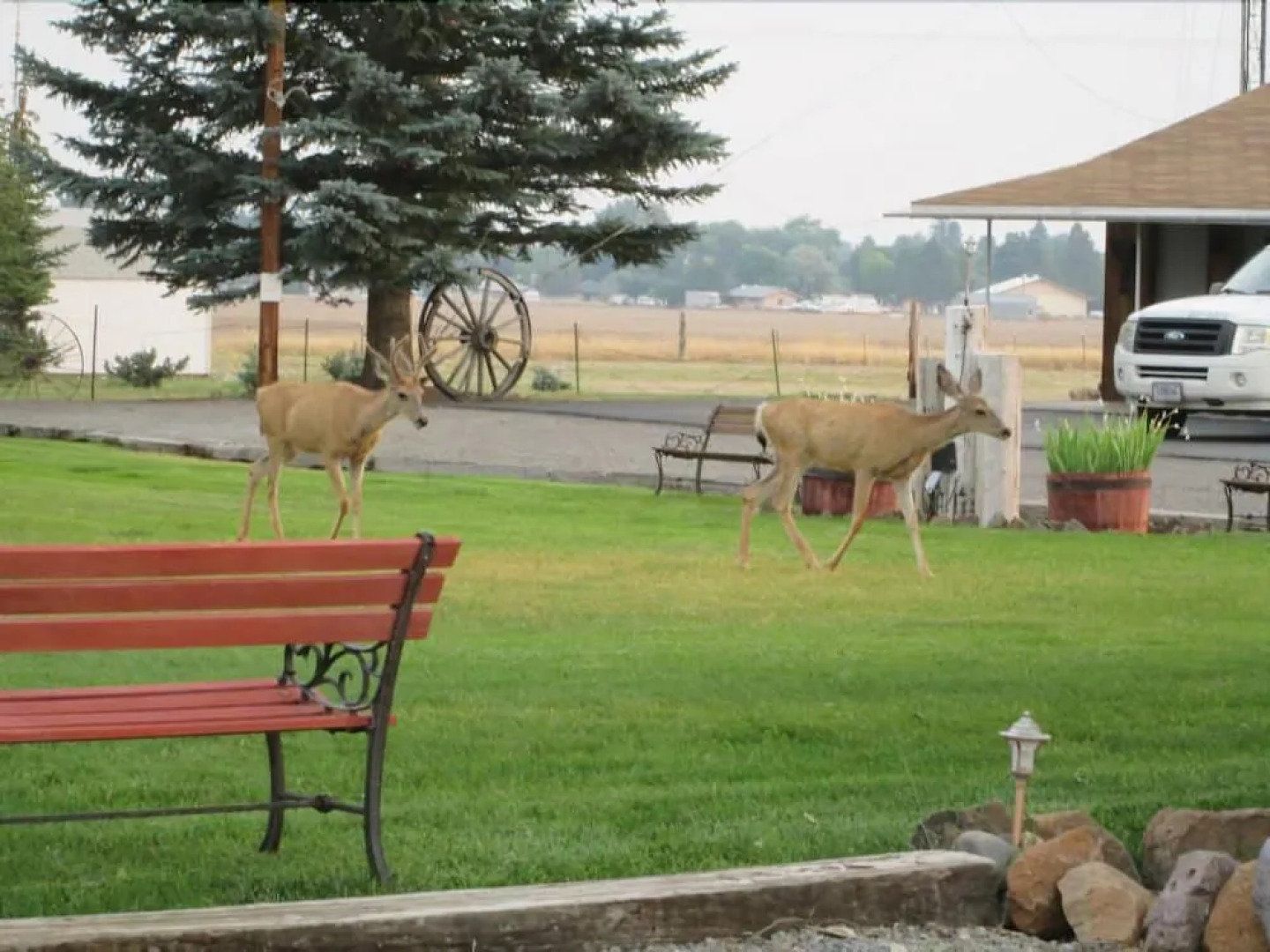 Rim Rock Motel Alturas