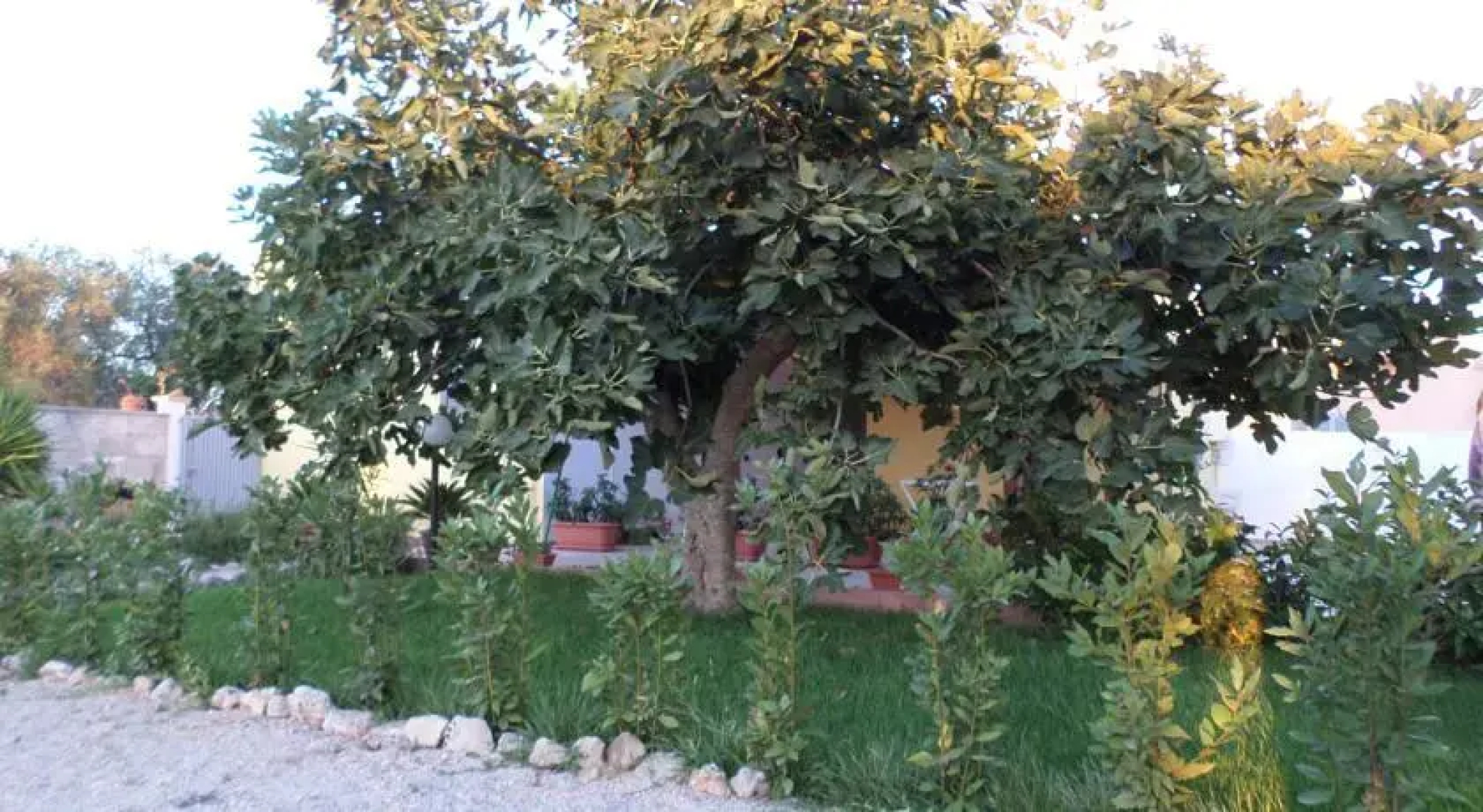 Casavacanze il Mojco