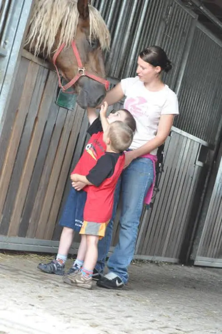 Hotel zum Schwanen Ziefle