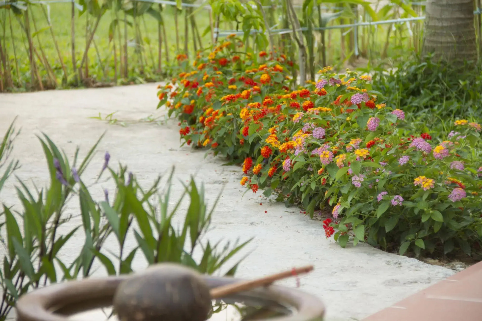 Ong Lang Village Resort