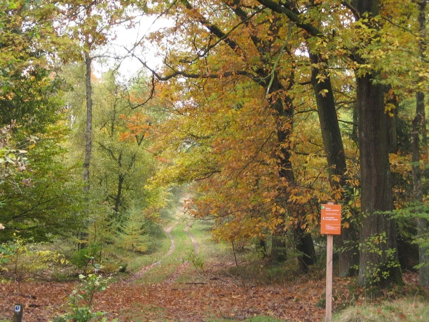 Modern villa with deco fireplace and dishwasher in De Veluwe