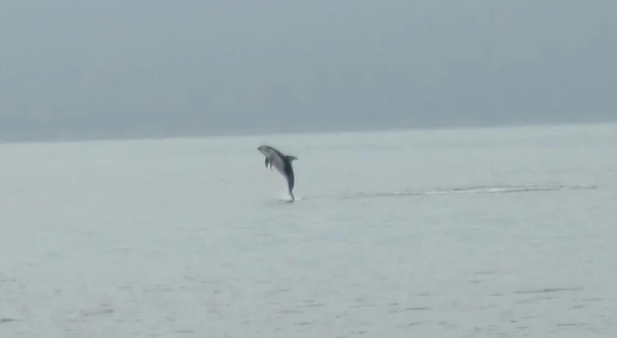 Seascape Waterfront Resort & Marina