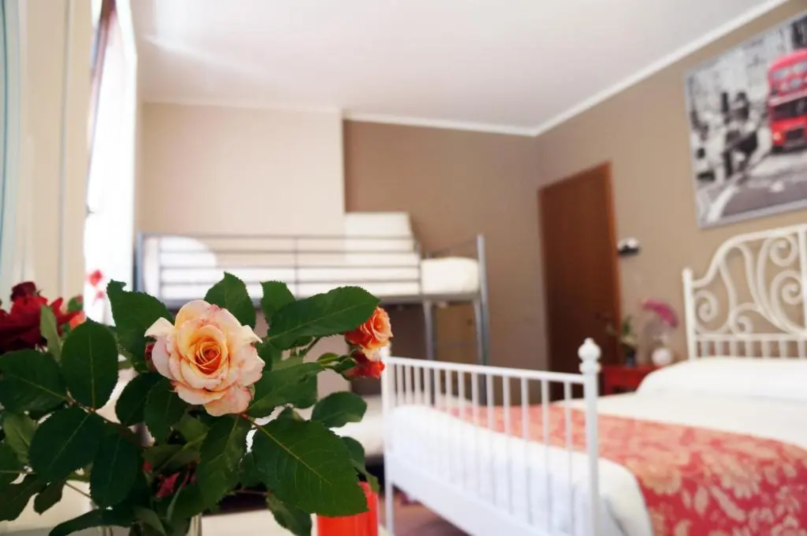 Alexander Rooms