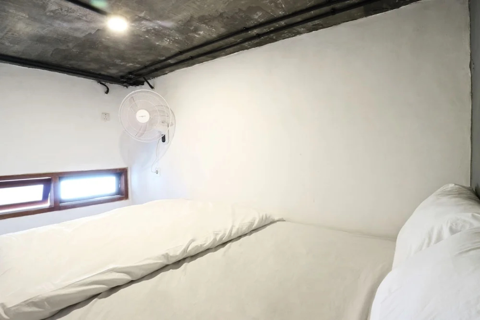 Tribe Theory - Startup House