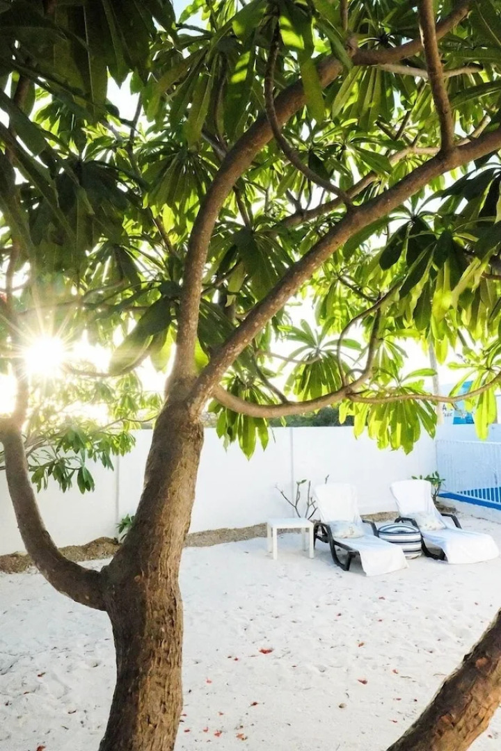 Ocean Front Property - Villa 3 Aruba with Hot Tub