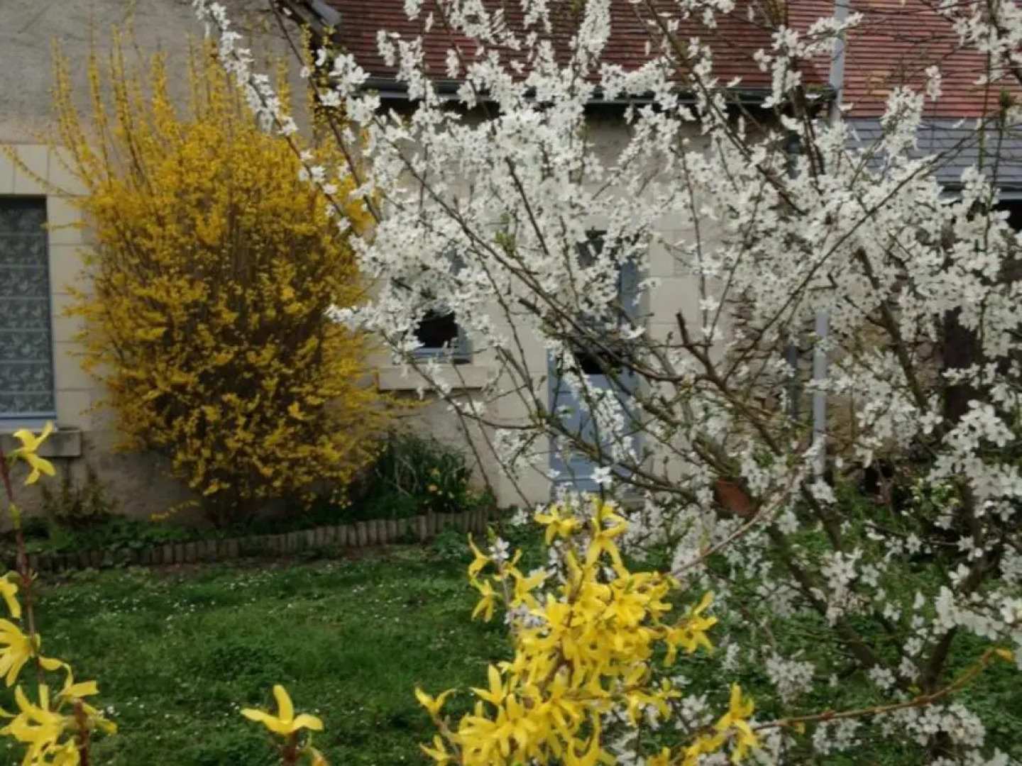 Gîte Luzillé, 3 pièces, 4 personnes - FR-1-381-303