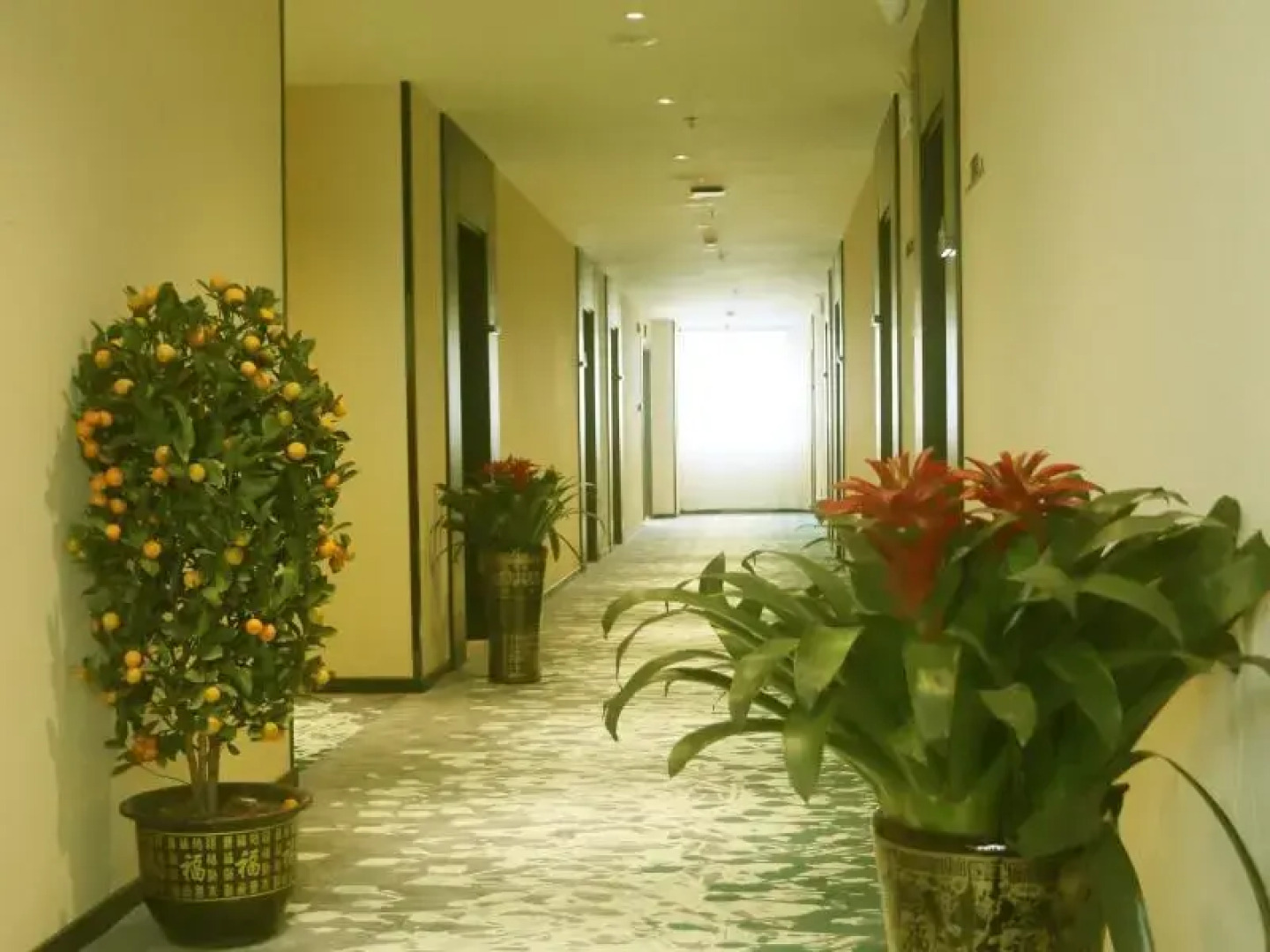 Greentree Inn Yichun New Area Yichun College Mingy