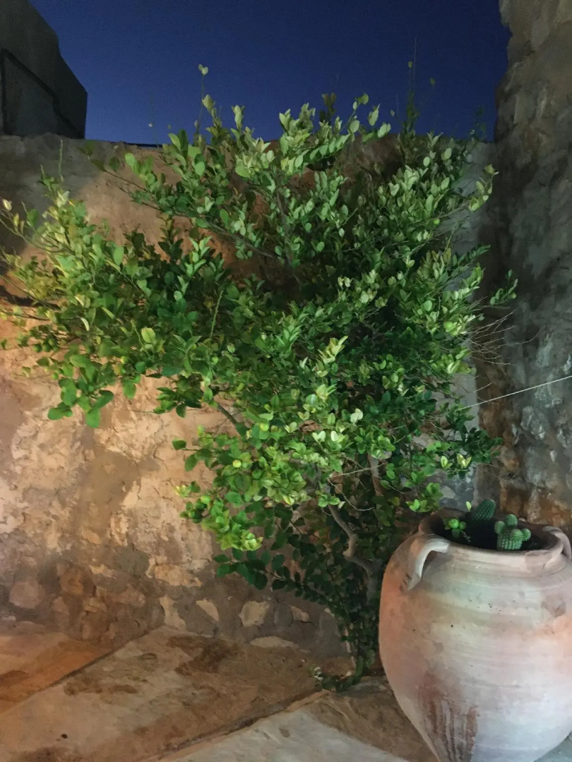 L'Auberge De Tamezret